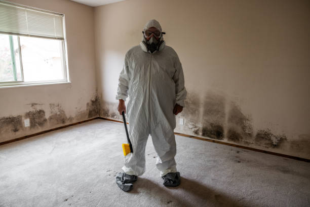 Best Post-Remediation Services in Inez, TX